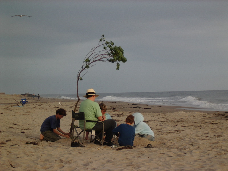 A Gathering on the Beach